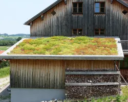 EcoSedumPack na zielone dachy