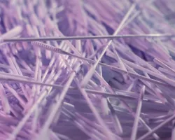 „Natura wymyśliła większość rozwiązań, których moglibyśmy potrzebować”. Wywiad z Maciejem Głowackim