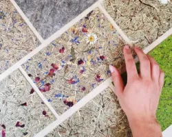 Wprowadź zapach natury do wnętrza - dekoracyjne powierzchnie Organoid