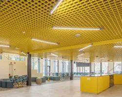 Czy uczelnie mogą nie męczyć studentów hałasem? Bluszczowa Liga Akustyki