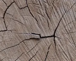 Międzynarodowy konkurs projektowy IDEASxWOOD 2025/2026