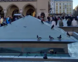 Konkurs na&nbsp;nową fontannę na&nbsp;Rynku Głównym w&nbsp;Krakowie