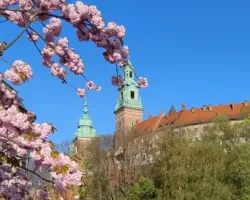Sztuka na Wawelu - aktualne wystawy czasowe i instalacje artystyczne