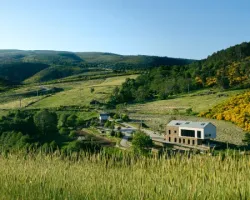 Projekt hotelu TerraSense Mountain Charm Retreat