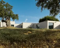 Z widokiem na&nbsp;konie. Projekt pracowni Sabrab Architecture