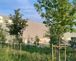 Wystawa „Biennale Ilustracji Bratysława 2025” w&nbsp;Cogiteonie