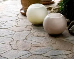 Magia egzotyki w polskich ogrodach