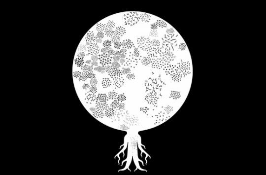 Najciekawszy DESIGN na&nbsp;InfoArchitekta w&nbsp;2017 roku / zdjęcie nr: 8