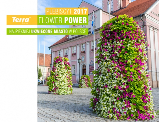 Jak głosować w plebiscycie Terra Flower Power Jak głosować w plebiscycie Terra Flower Power
