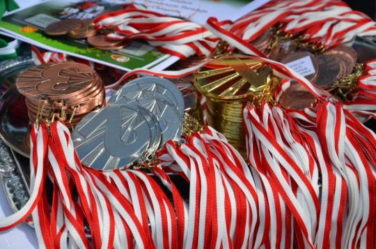 Baltic Wood wspiera Międzynarodowy Festiwal Sportu Jasło 2017 / zdjęcie nr: 1