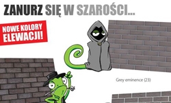 NOWOŚCI SZAROŚCI - nowe kolory płytek Klinkier Przysucha