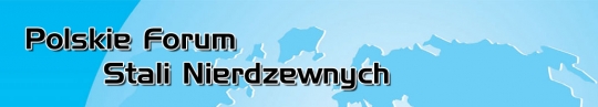 Stal nierdzewna – nowoczesny materiał uniwersalny - FORUM Stal nierdzewna – nowoczesny materiał uniwersalny - FORUM