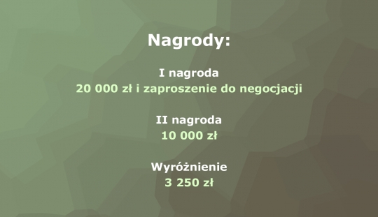 Konkurs na&nbsp;projekt adaptacji historycznych piwnic magazynowych  Wzgórza Abrahama w&nbsp;Pułtusku wraz z&nbsp;renowacją amfiteatru / zdjęcie nr: 2