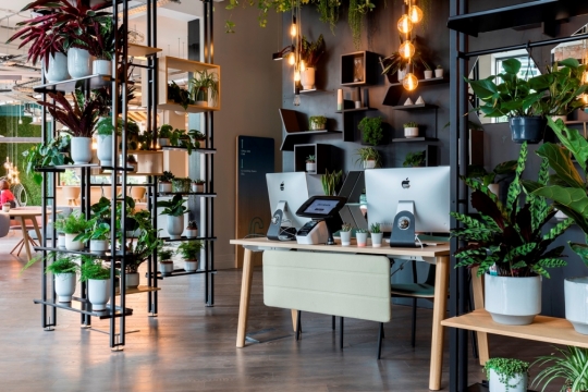 Jak stworzyć dobre biuro? / zdjęcie nr: 2