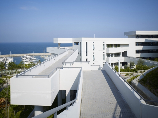 Marina i&nbsp;baza sportowa ShenZhen / zdjęcie nr: 8