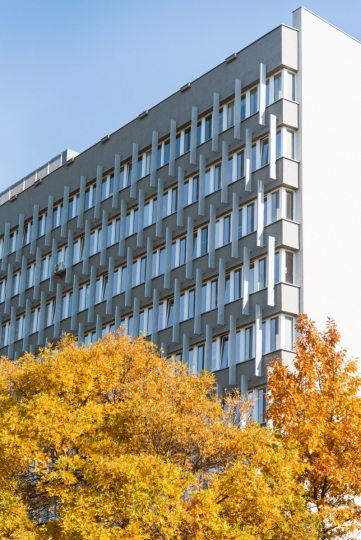 Odrodzenie powojennego modernizmu z&nbsp;pracownią MTWW Architekci / zdjęcie nr: 2