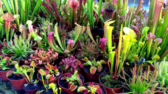 Targi Wzory na&nbsp;wiosnę! / zdjęcie nr: 8