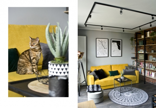 Za co kochamy styl loftowy? Projekt Miśkiewicz Design / zdjęcie nr: 7 Za co kochamy styl loftowy? Projekt Miśkiewicz Design / zdjęcie nr: 7