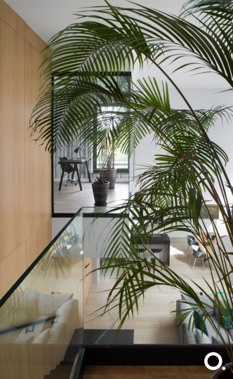 Biophilic design - projektowanie z&nbsp;miłością do&nbsp;natury / zdjęcie nr: 8