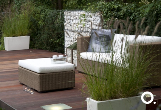 Biophilic design - projektowanie z&nbsp;miłością do&nbsp;natury / zdjęcie nr: 6