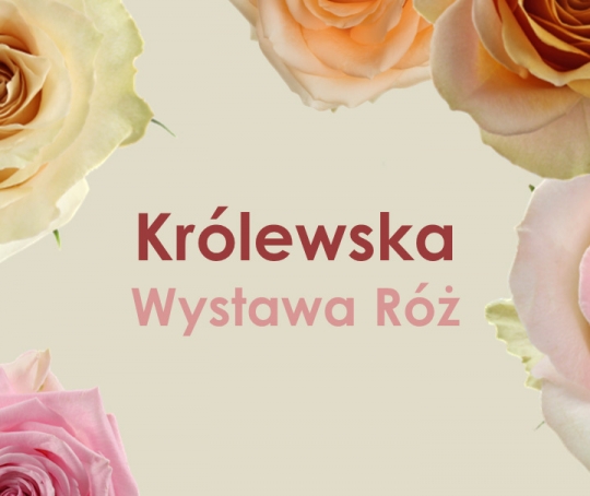 Królewska Wystawa Róż w Arkadach Kubickiego Zamku Królewskiego Królewska Wystawa Róż w Arkadach Kubickiego Zamku Królewskiego