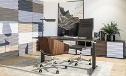 Home Office profesjonalnie - to może się udać!