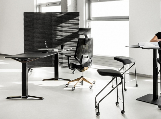 Home Office profesjonalnie - to może się udać! / zdjęcie nr: 2