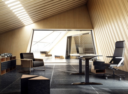 Home Office profesjonalnie - to może się udać! / zdjęcie nr: 1