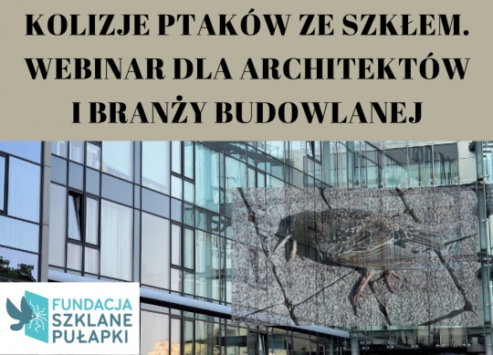 Webinarium dla architektów: Kolizje ptaków ze szkłem! Webinarium dla architektów: Kolizje ptaków ze szkłem!