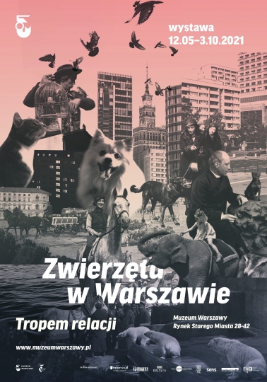 Projekty Aliny Scholtz i&nbsp;inne wystawy w&nbsp;Muzeum Warszawy. Jesienne wydarzenia towarzyszące