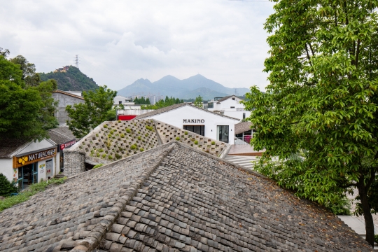 Pawilon Blossom - projekt pracowni SpActrum / zdjęcie nr: 24