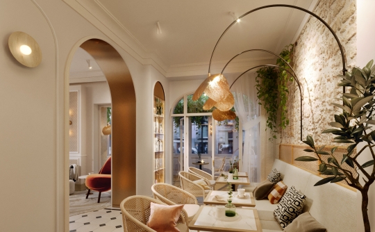 Projekt butikowego hotelu w Paryżu / zdjęcie nr: 6 Projekt butikowego hotelu w Paryżu / zdjęcie nr: 6