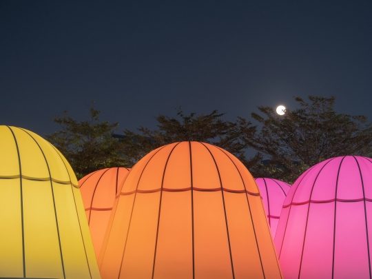 Projekt Dream Glow Pavilion / zdjęcie nr: 33