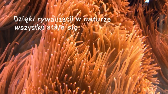 Matka ziemia – wystawa zbiorowa w&nbsp;galerii Dizajn / zdjęcie nr: 3