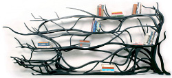 Półka Metamorphosis Półka Metamorphosis