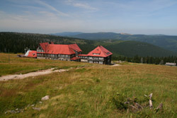 Dolnośląskie schroniska najgorsze w kraju Dolnośląskie schroniska najgorsze w kraju
