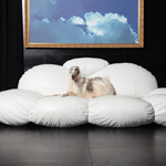 CIRRUS