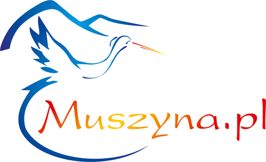 Konkurs urbanistyczno-architektoniczny na opracowanie koncepcji zagospodarowania centrum Muszyny Konkurs urbanistyczno-architektoniczny na opracowanie koncepcji zagospodarowania centrum Muszyny