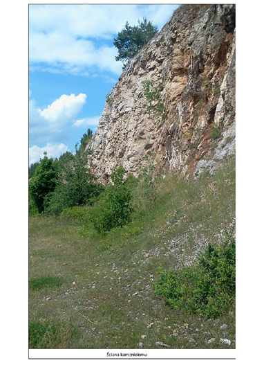 Centrum Edukacji Geologicznej Centrum Edukacji Geologicznej