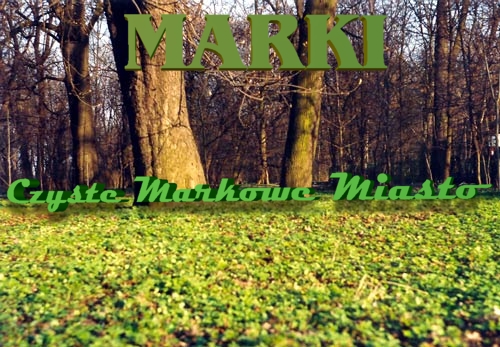 Marki - gimnazjum i szkoła ponadgimnazjalna Marki - gimnazjum i szkoła ponadgimnazjalna