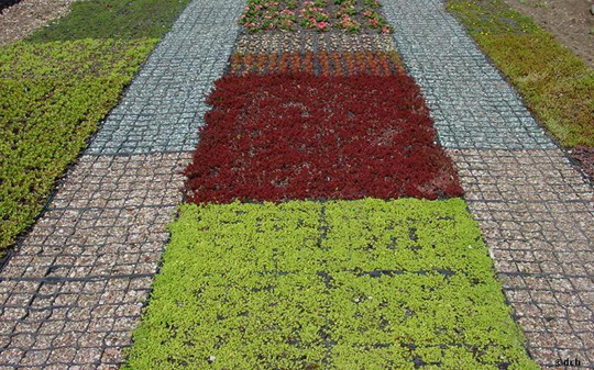 Zazielenione kratki - EcoGreen Zazielenione kratki - EcoGreen