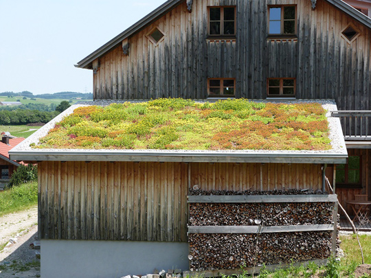 EcoSedumPack na zielone dachy EcoSedumPack na zielone dachy