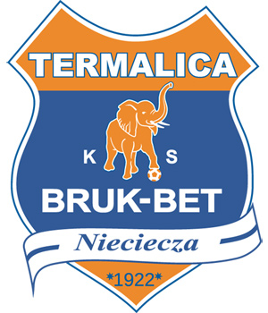Termalica Bruk-Bet w&nbsp;ekstraklasie! Wielki sukces małego klubu z&nbsp;Małopolski / zdjęcie nr: 1