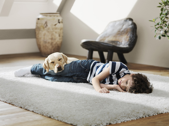 Najpierw Trias Energetica, potem OZE / zdjęcie nr: 3