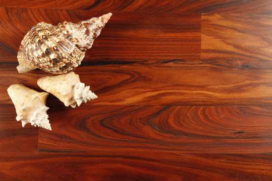 Podłogi drewniane lite KOPP / zdjęcie nr: 4