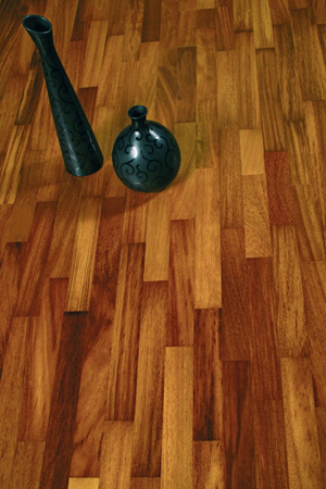 Kambala - egzotyk o&nbsp;wielu twarzach / zdjęcie nr: 4