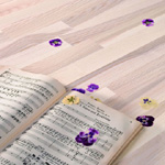 Lakierowana podłoga drewniana na lata - Baltic Wood