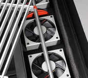 Gdzie diabeł nie może tam JAGĘ pośle / zdjęcie nr: 2