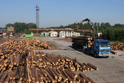 Stolbud Włoszczowa stawia na jakość materiału Stolbud Włoszczowa stawia na jakość materiału