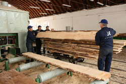 Stolbud Włoszczowa stawia na jakość materiału Stolbud Włoszczowa stawia na jakość materiału
